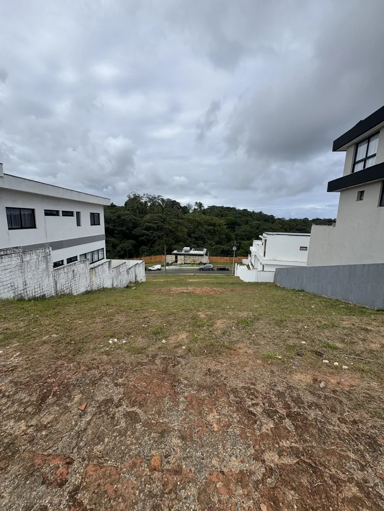 Lote G20 do Alphaville LN3 visto em direção à área verde