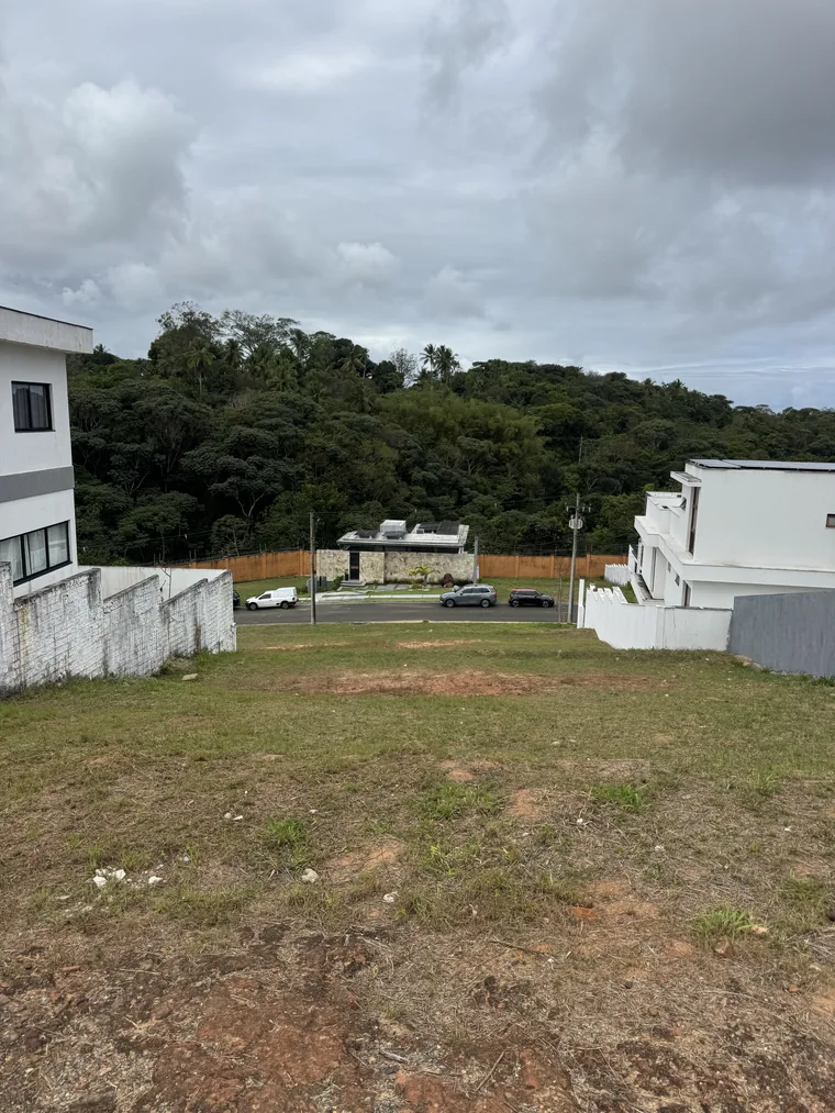 Terreno de 480 m² no Alphaville LN3 e vegetação ao fundo