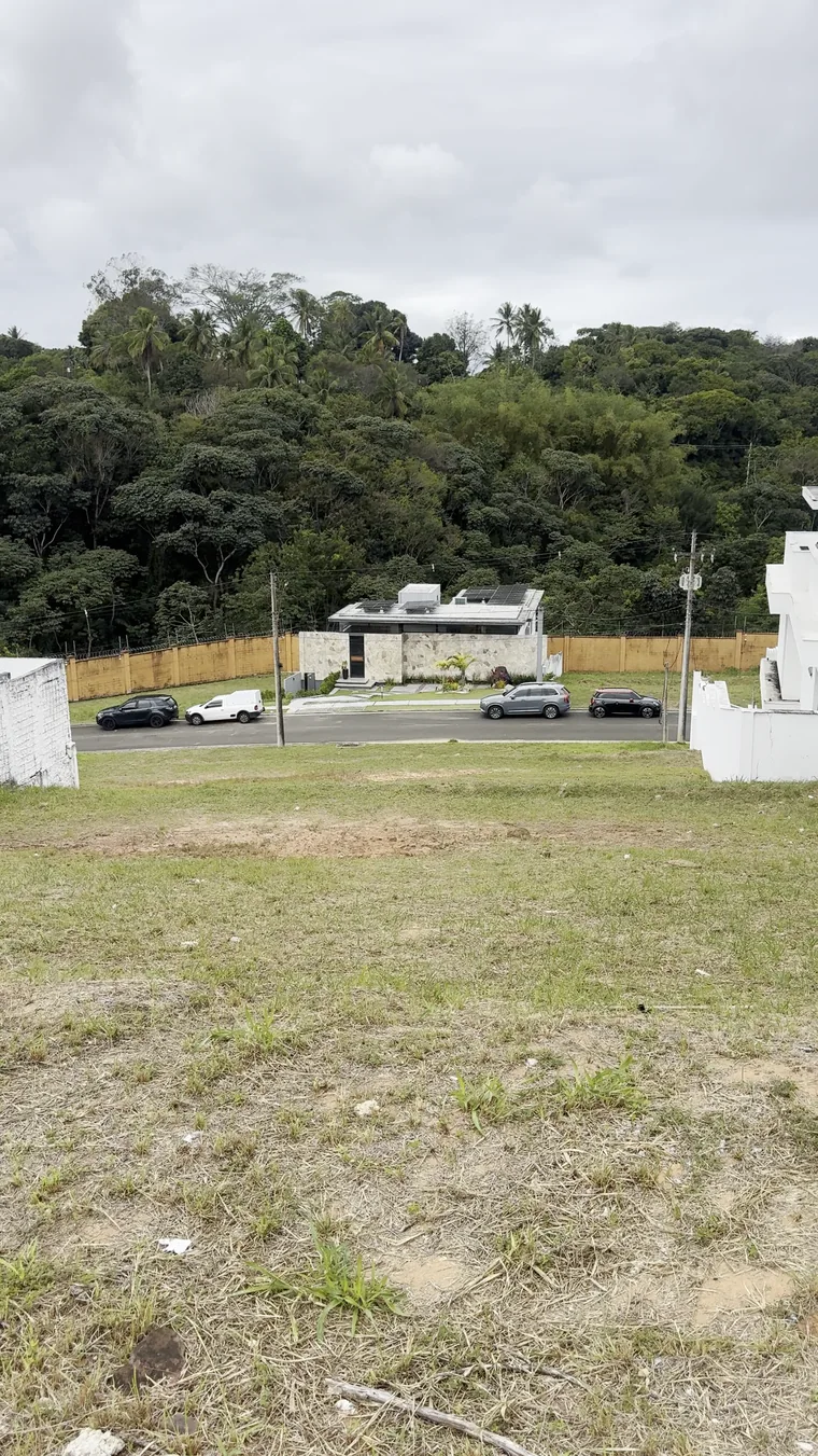 Vista do terreno para a rua e a mata preservada em frente